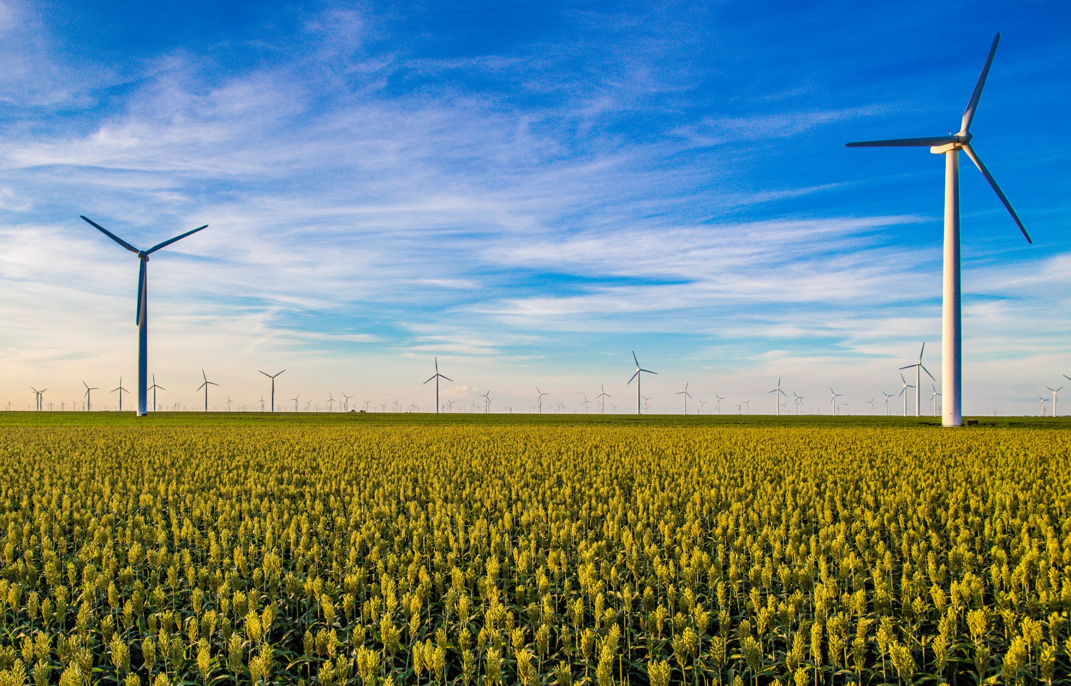 cambiamento climatico