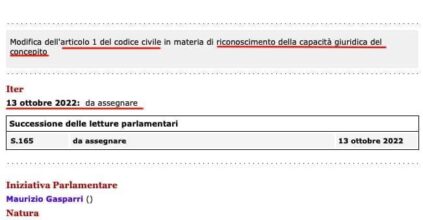 Aborto, cosa dice la proposta di Legge di Gasparri