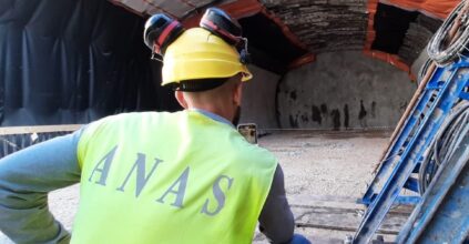 Anas