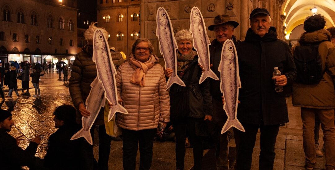 sardine