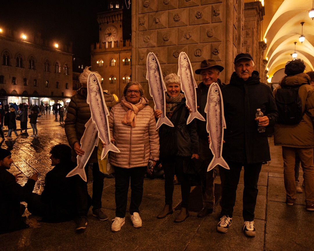 sardine
