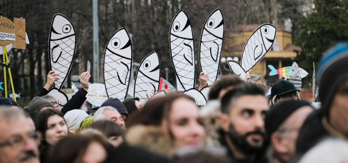 sardine