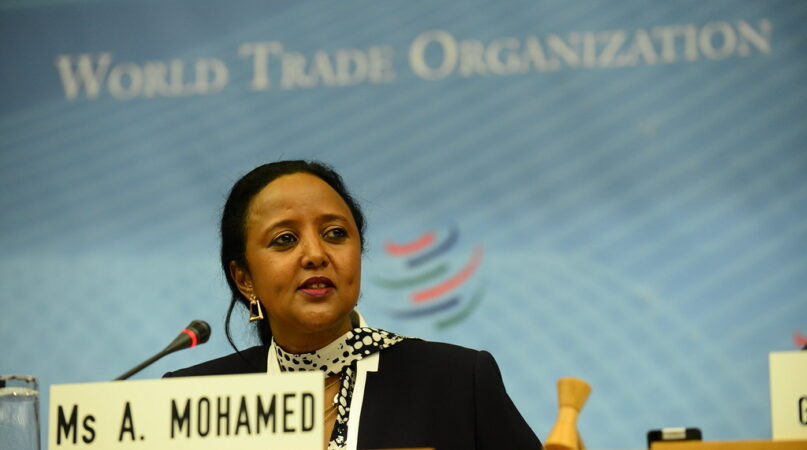 Amina Mohamed