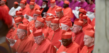 Cupich, McElroy, Tobin: tre cardinali Usa contro Trump. Chi sono