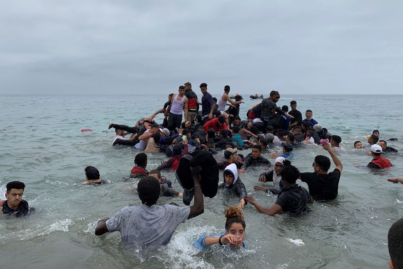 migranti