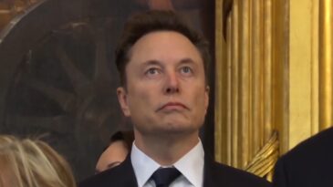 Musk Trump