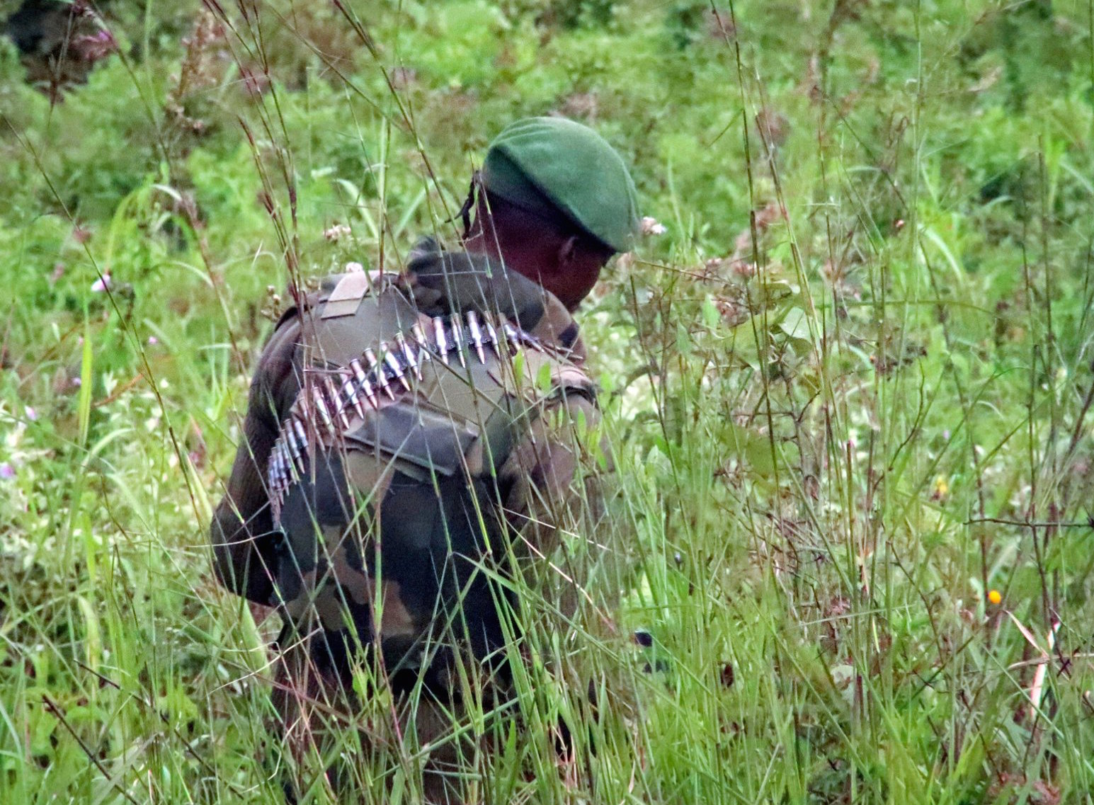 congo caso Attanasio