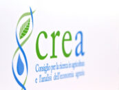 Nomine Crea