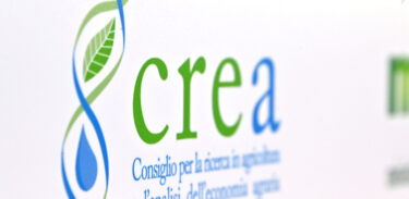 Nomine Crea