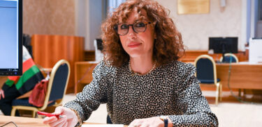 Decreto sicurezza, cosa dice il Comitato per la legislazione del Senato