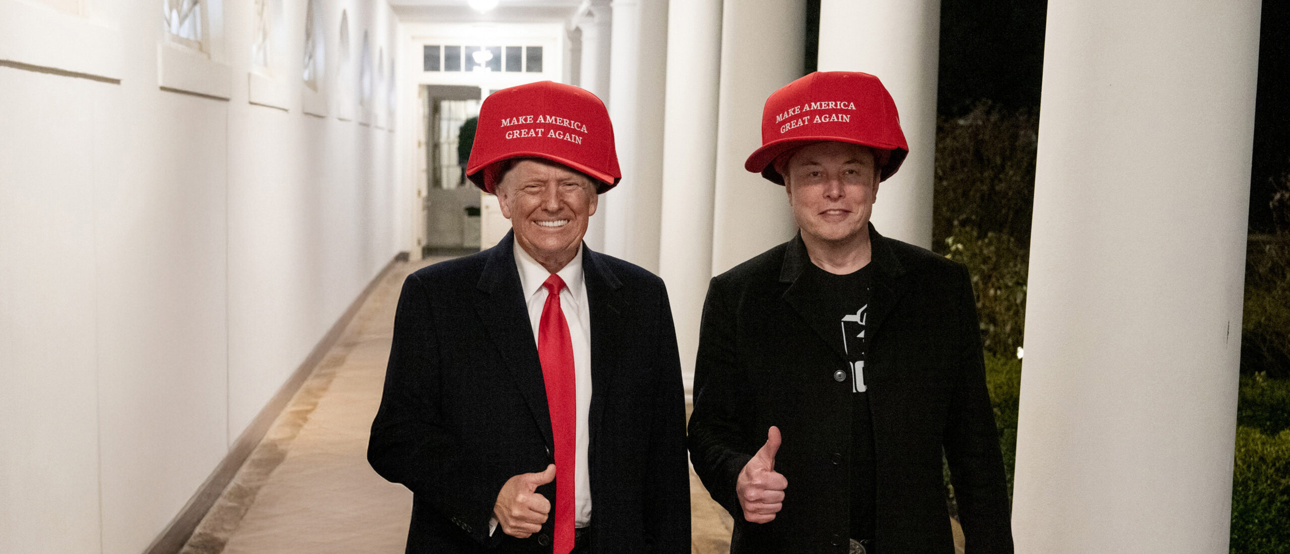 Musk Trump