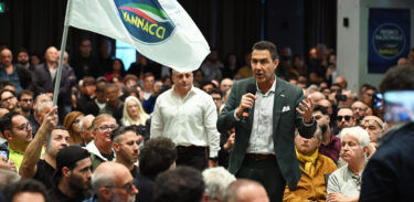 Vannacci costituente