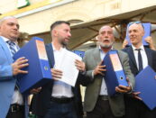 remigrazione rimpatri