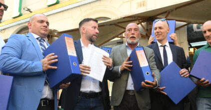 remigrazione rimpatri