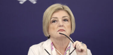 Ddl Concorrenza Marina Calderone