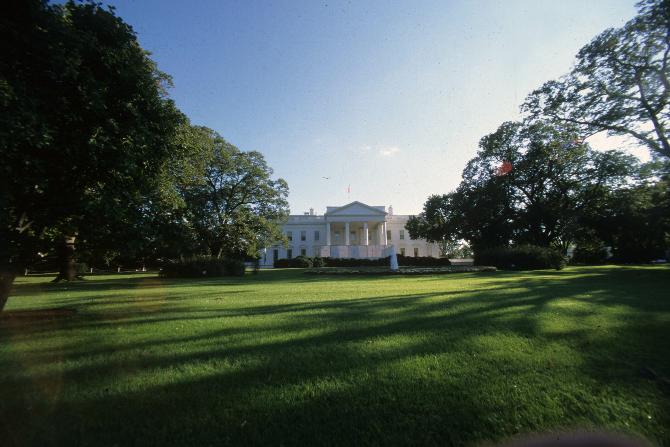 elezioni Usa 2024