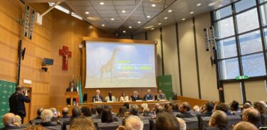 Nasce il Lumsa University Africa Center: formazione di qualità e modelli di business
