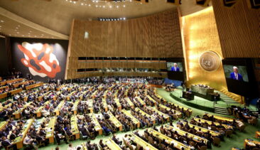 Assemblea Onu