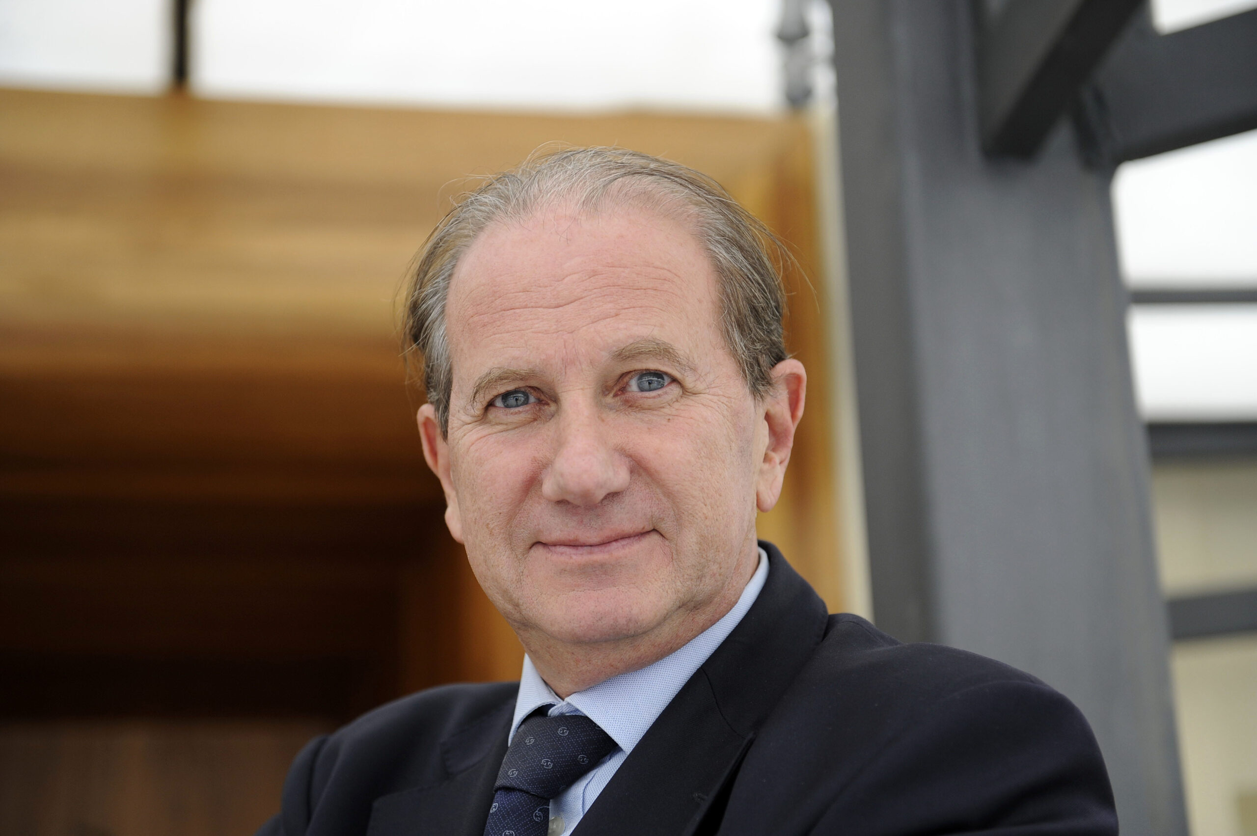 prof bollino intervista