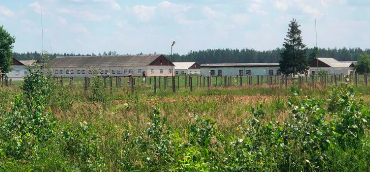 Campo Prigionia Bielorussia