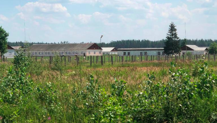 campo prigionia bielorussia