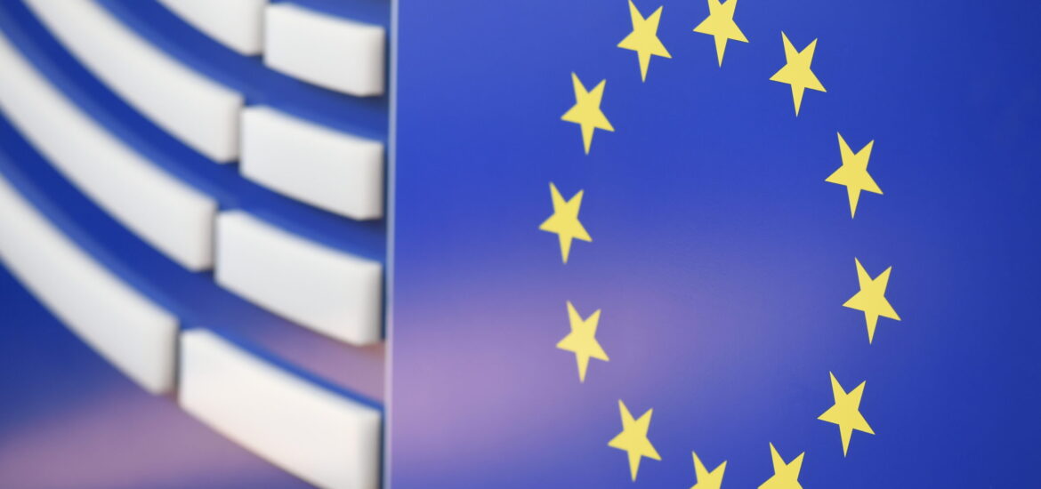 allargamento ue
