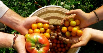 Mise Liuzzi agricoltura