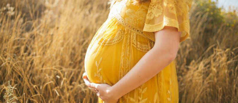 Gestazione Per Altri