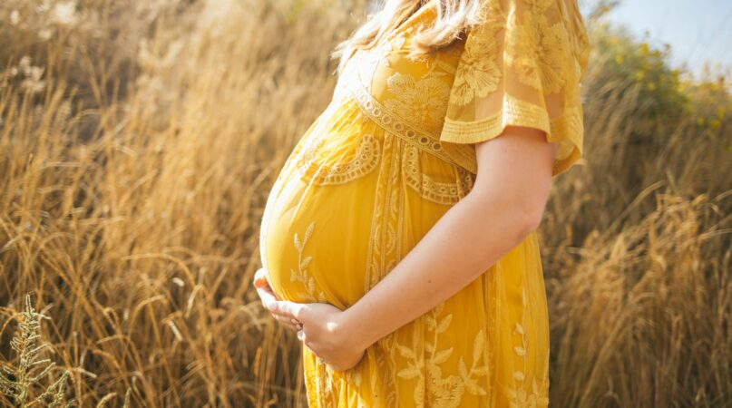 Gestazione Per Altri