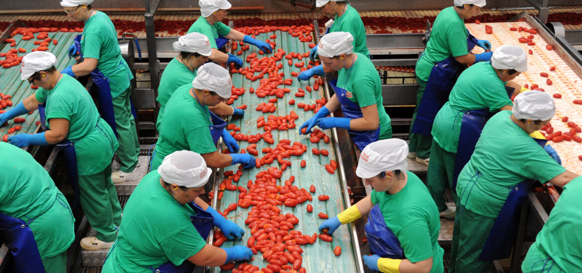 conserve di pomodoro