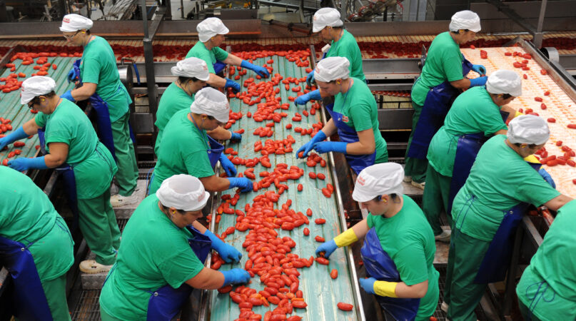 Conserve Di Pomodoro