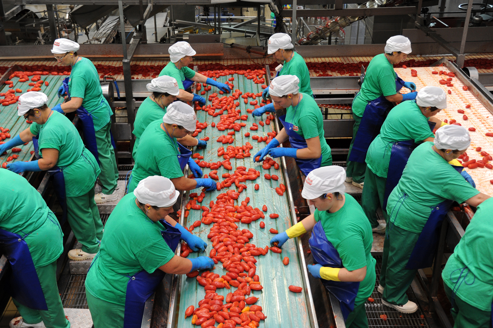 conserve di pomodoro
