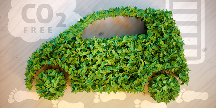 ecobonus