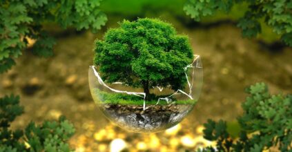 ambiente Ministero della Transizione ecologica