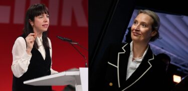 elezioni germania