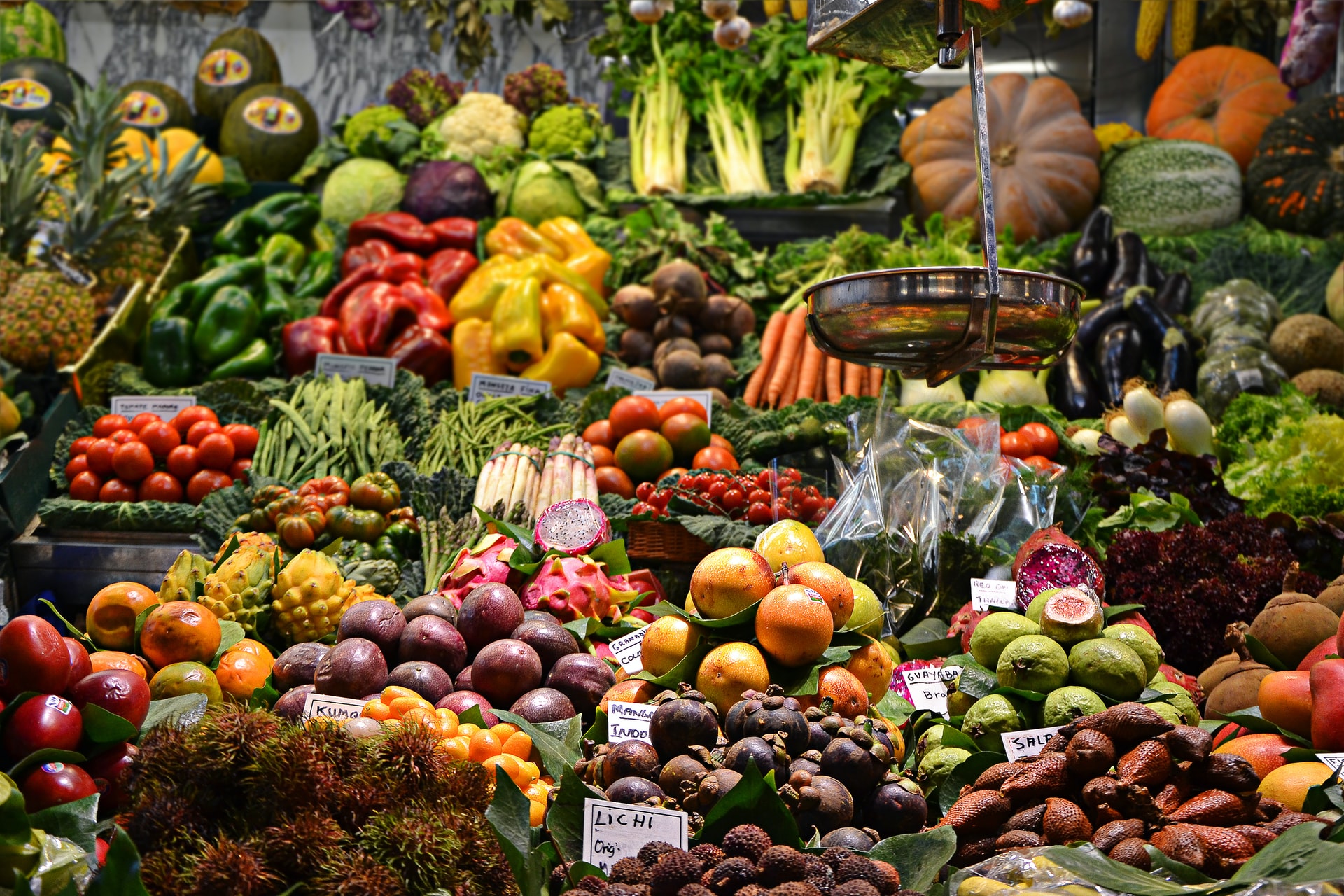 cibo sprechiamo