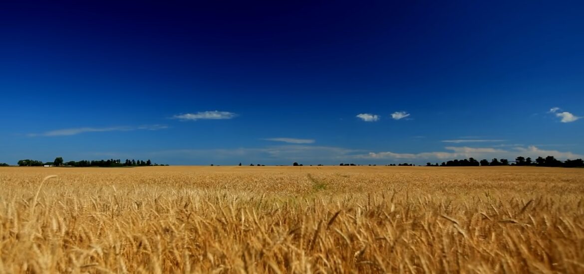 materie prime Russia Ucraina grano
