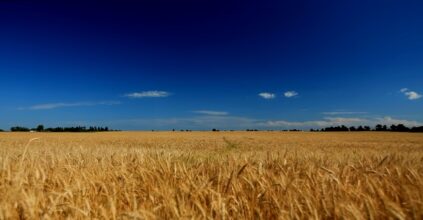 materie prime Russia Ucraina grano