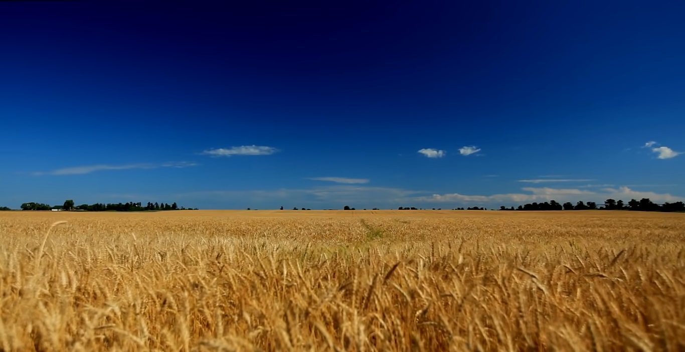 materie prime Russia Ucraina grano