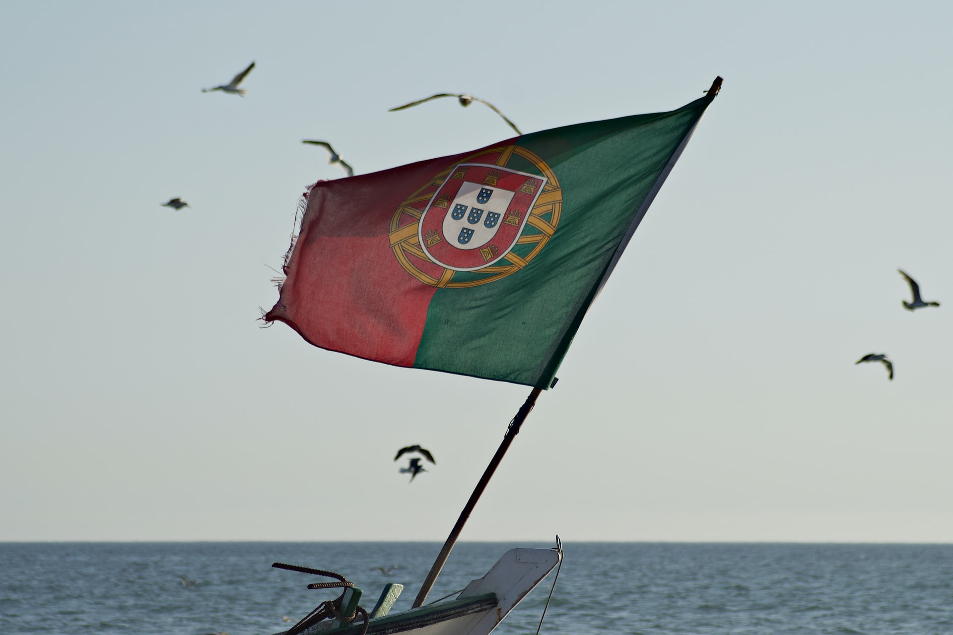 elezioni portogallo