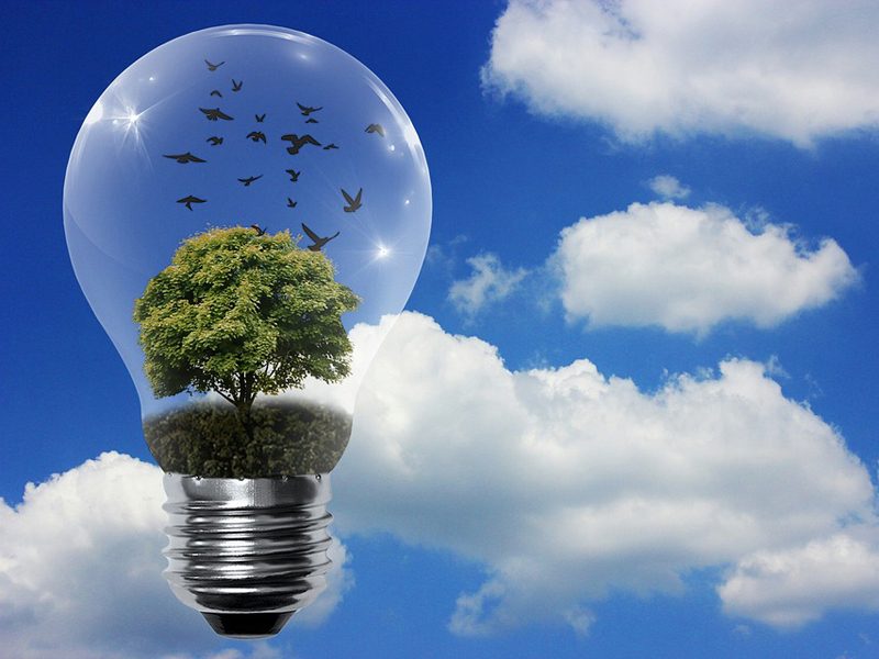 elettricità futura