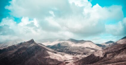 dossier 29 marzo - 4 aprile