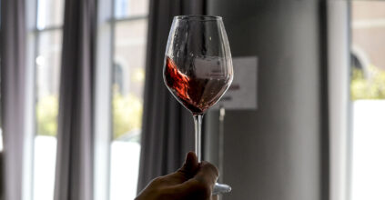 etichetta vino contrari ue irlanda