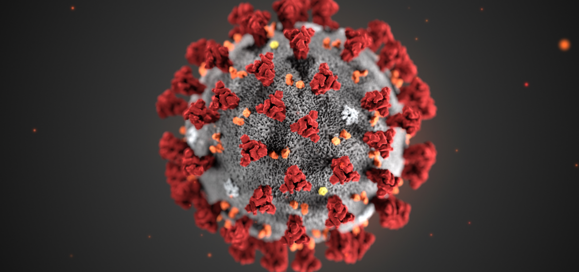 virus Cina