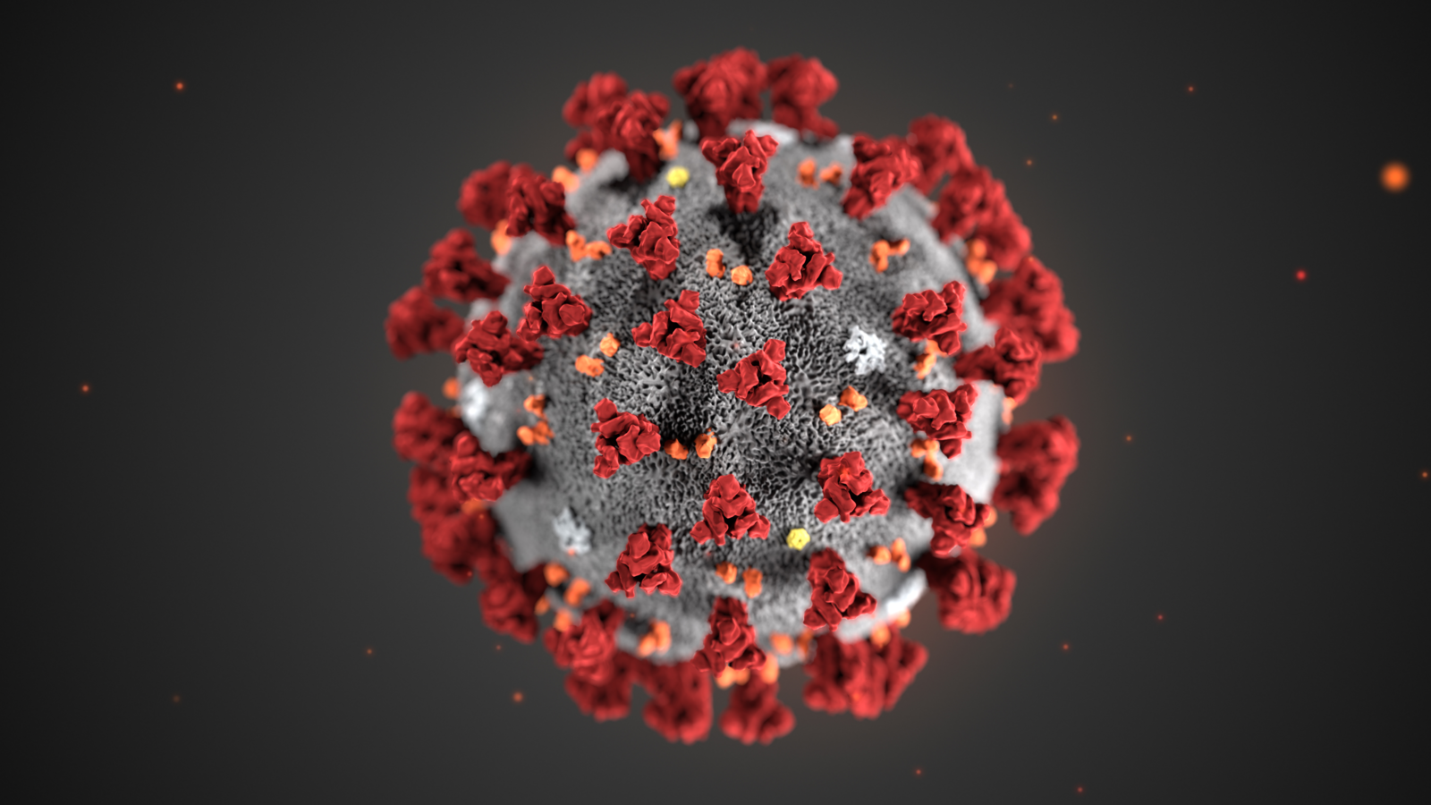 virus Cina