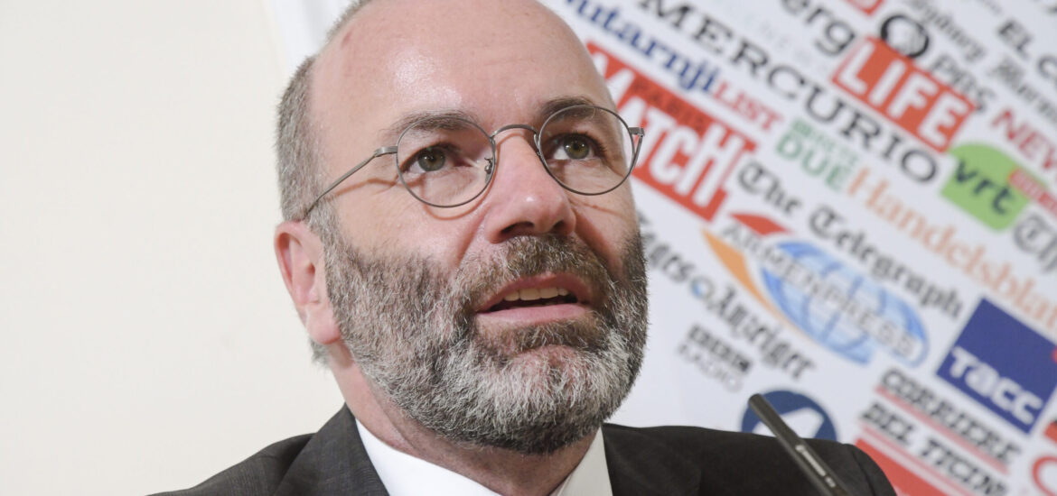 weber meloni