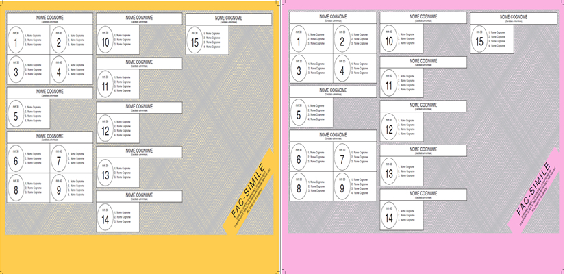 fac simile schede elettorali